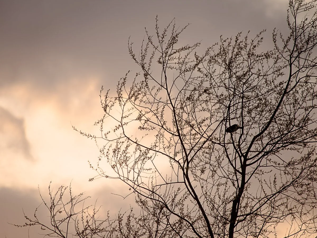 Prairie Oaks Metro Park - Mar 2026