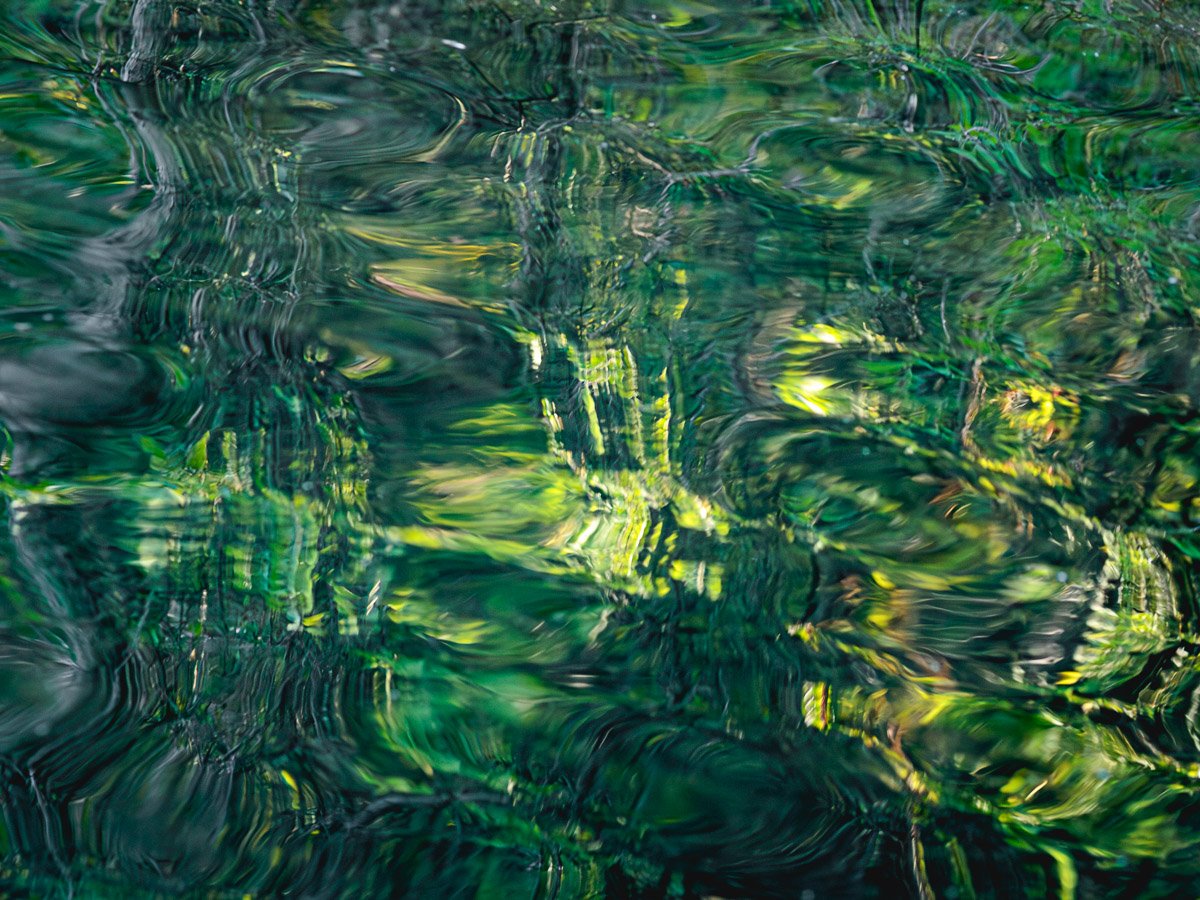 Three Creeks Metro Park - Apr 2026