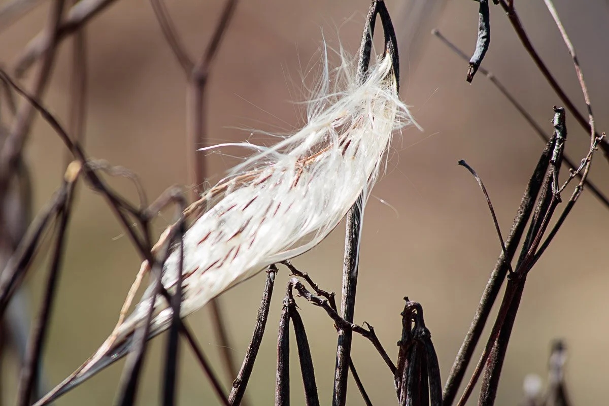 Prairie Oaks Metro Park, Darby Bend Lakes - Mar 2026