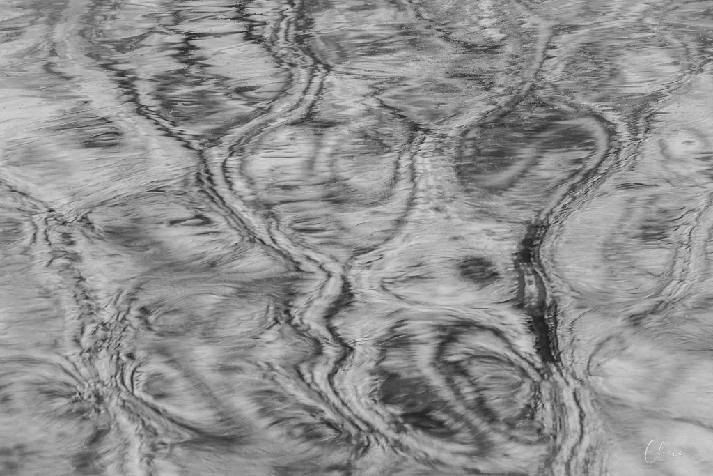 Three Creeks Metro Park - Apr 2026