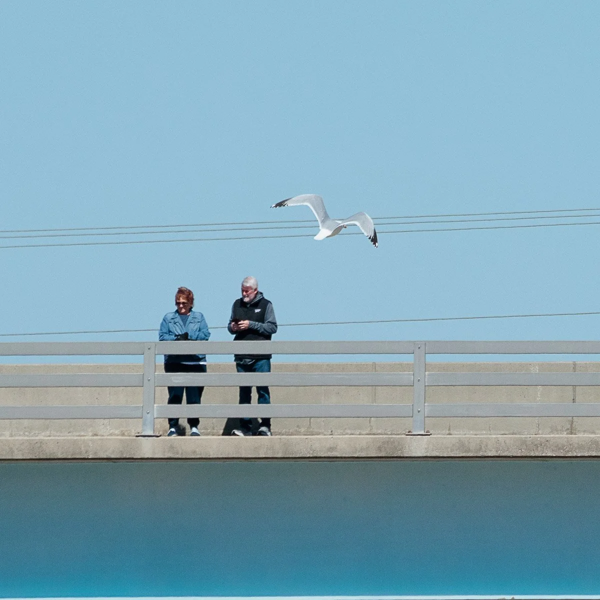 Scioto River - Mar 2026