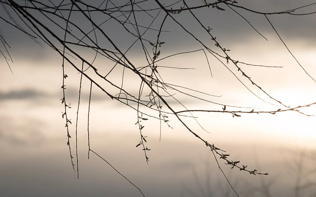 Prairie Oaks Metro Park - Apr 2026