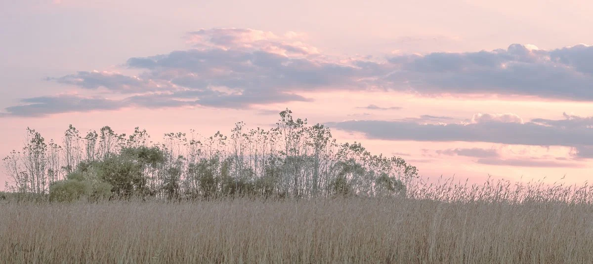 Pink Prairie Glow