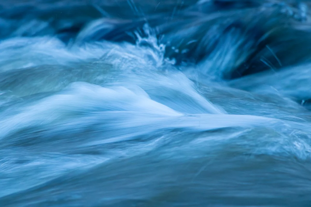 Grigg's Dam - Mar 2026