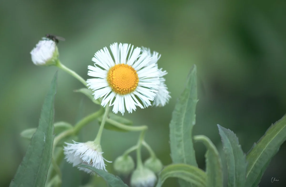 Prairie Oaks Metro Park, Darby Bend Lakes - May 2026