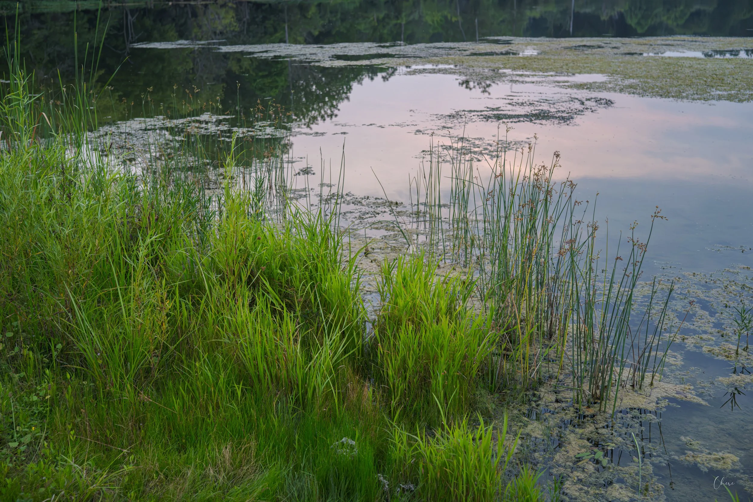 Prairie Oaks Metro Park - July 2026