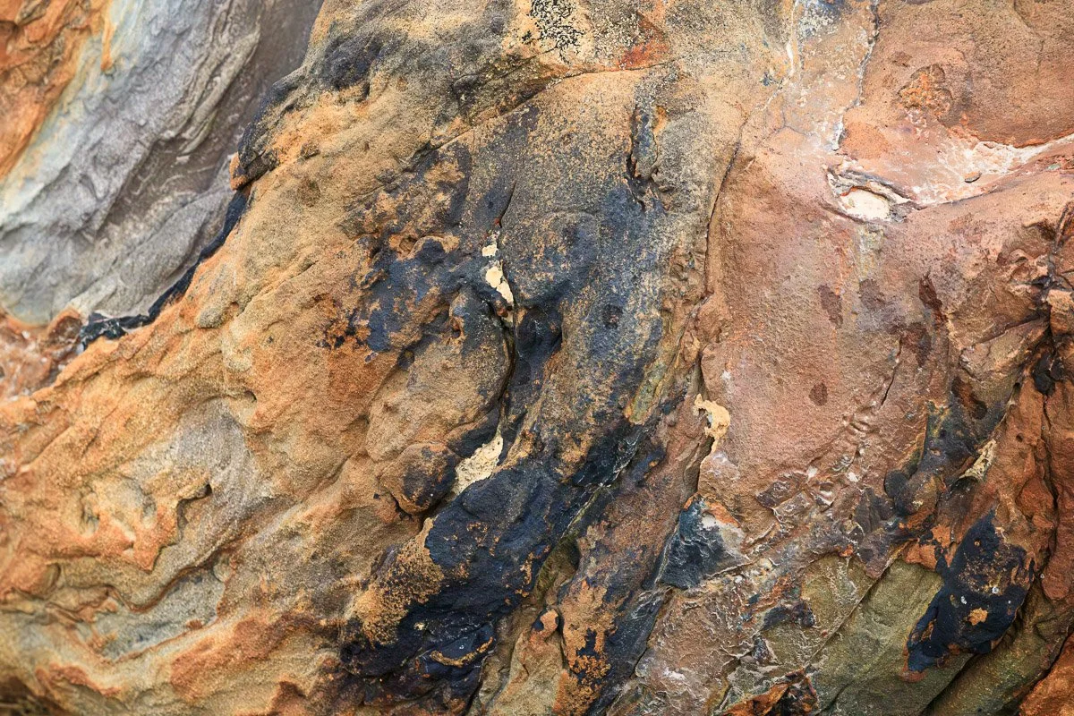 Prairie Oaks Metro Park, Darby Bend Lakes - Mar 2026