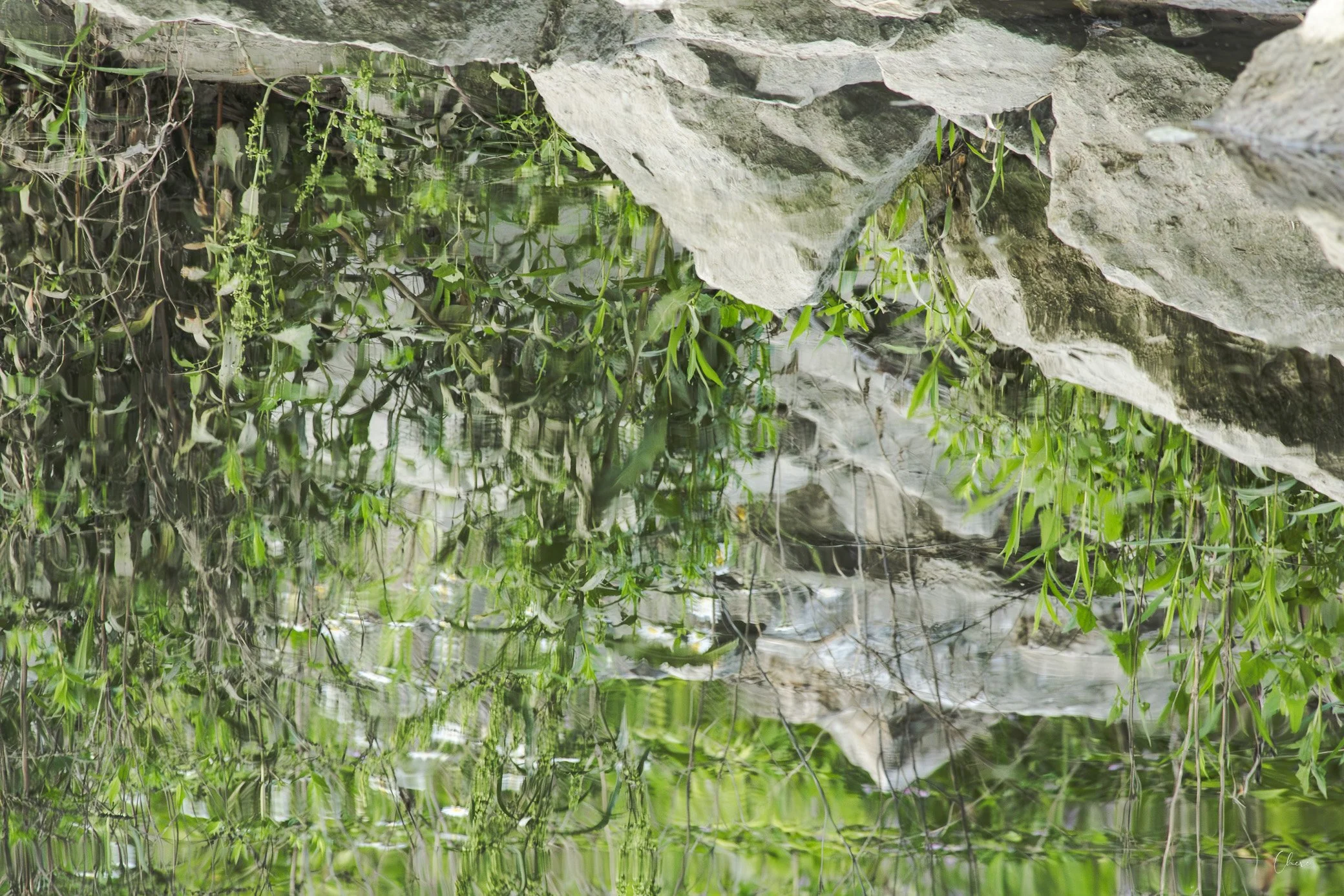 Quarry Trails Metro Park - June 2026