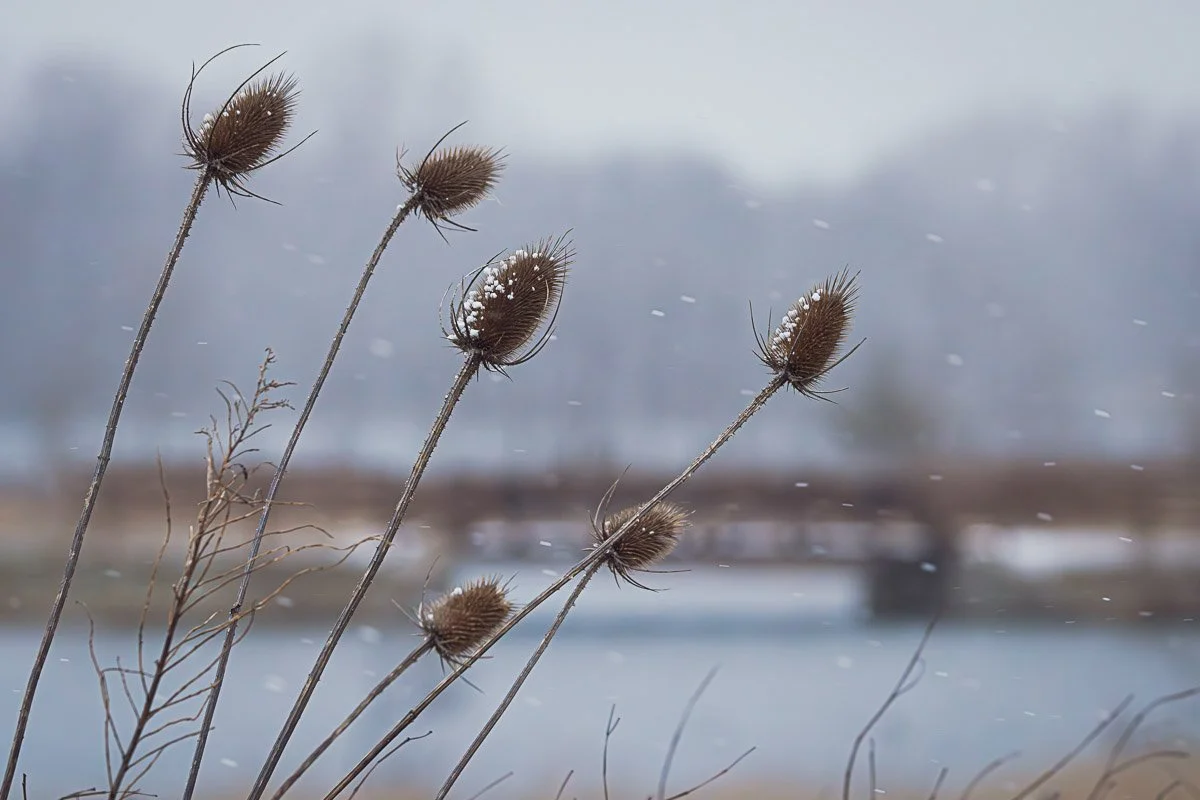 Prairie Oaks Metro Park, Darby Bend Lakes - Mar 2026