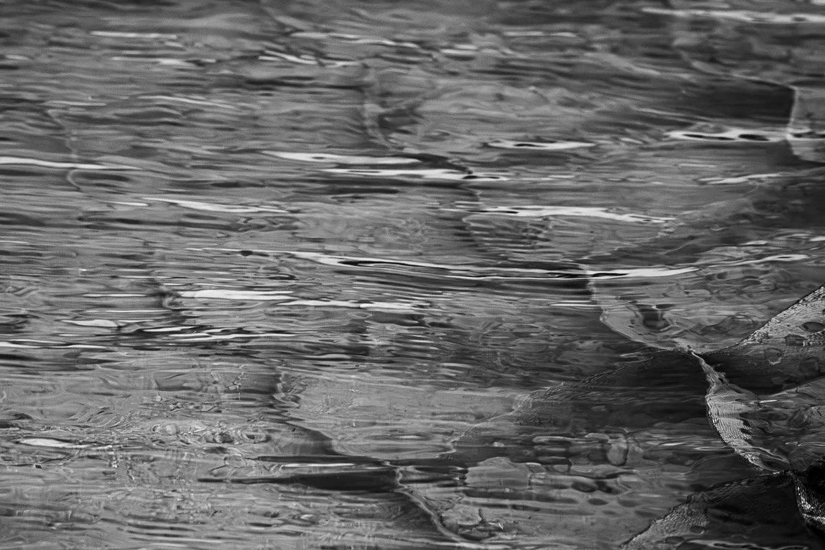 Prairie Oaks Metro Park, Darby Bend Lakes - Mar 2026