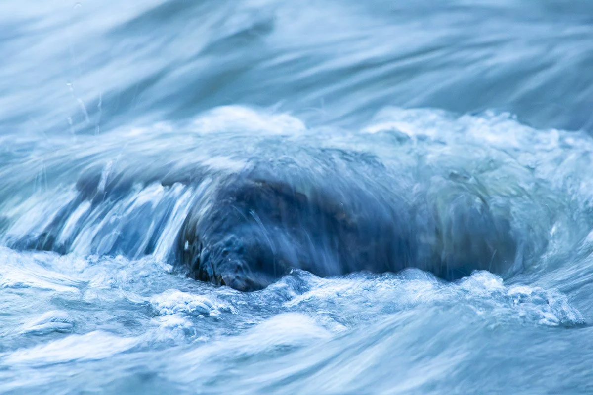 The Waters Close to Home