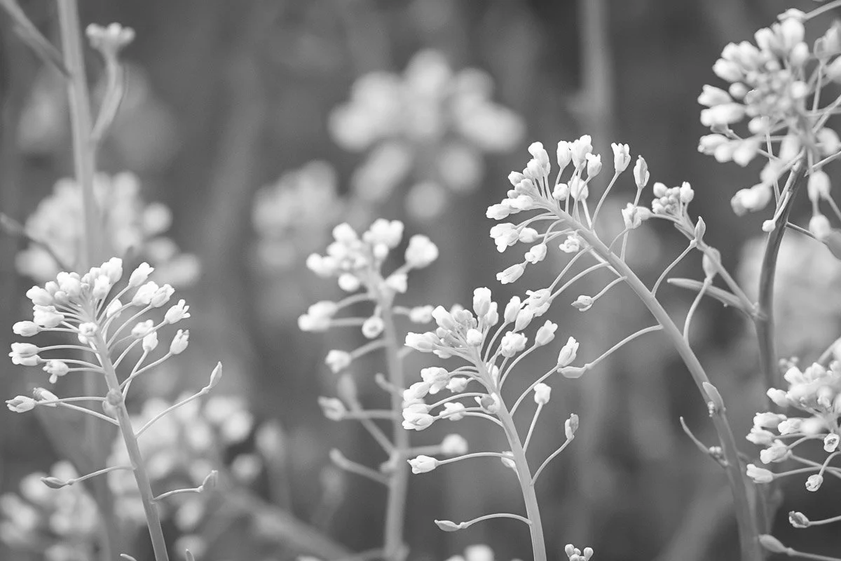 Prairie Oaks Metro Park - Mar 2026