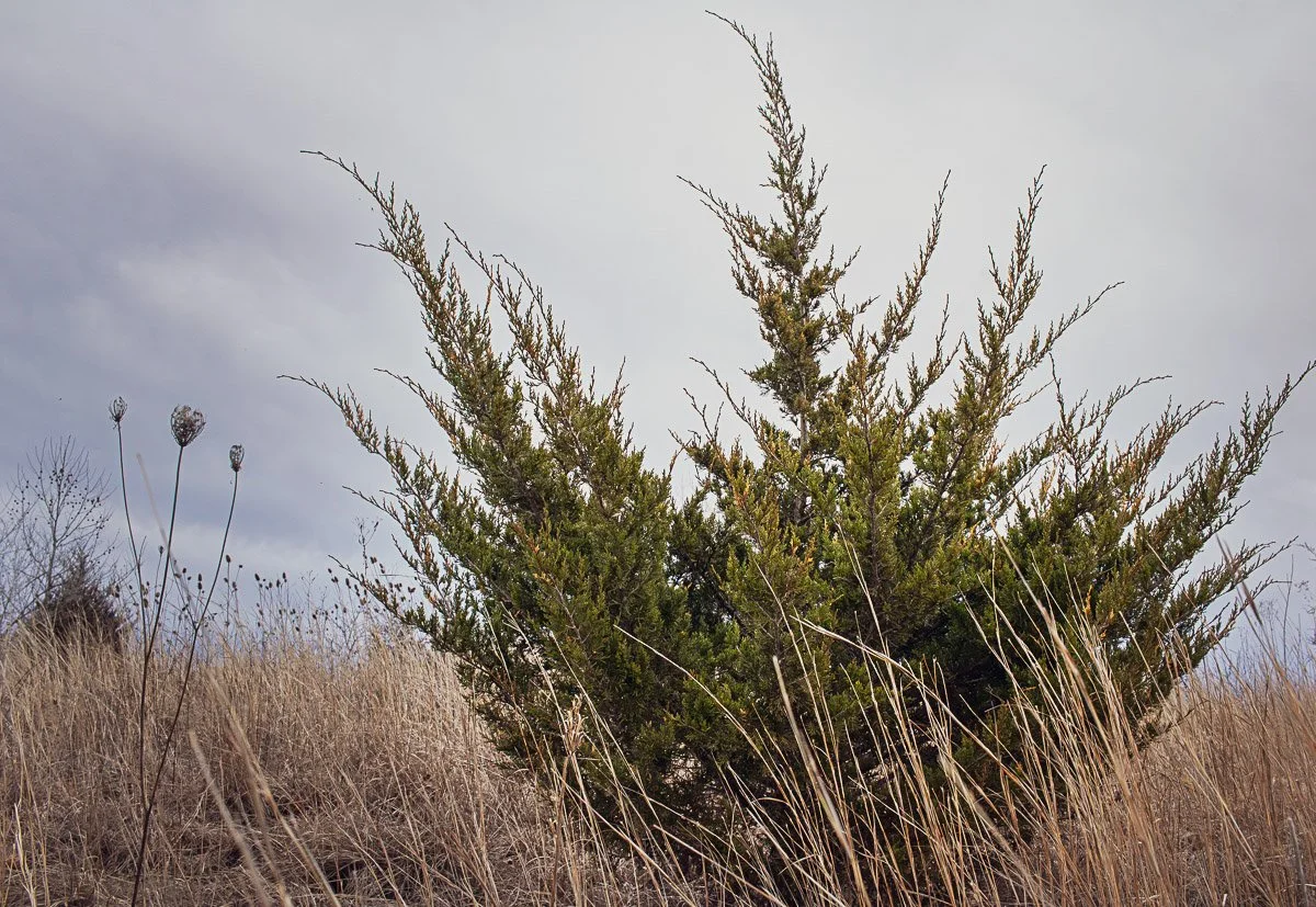 Prairie Oaks Metro Park, Darby Bend Lakes - Mar 2026
