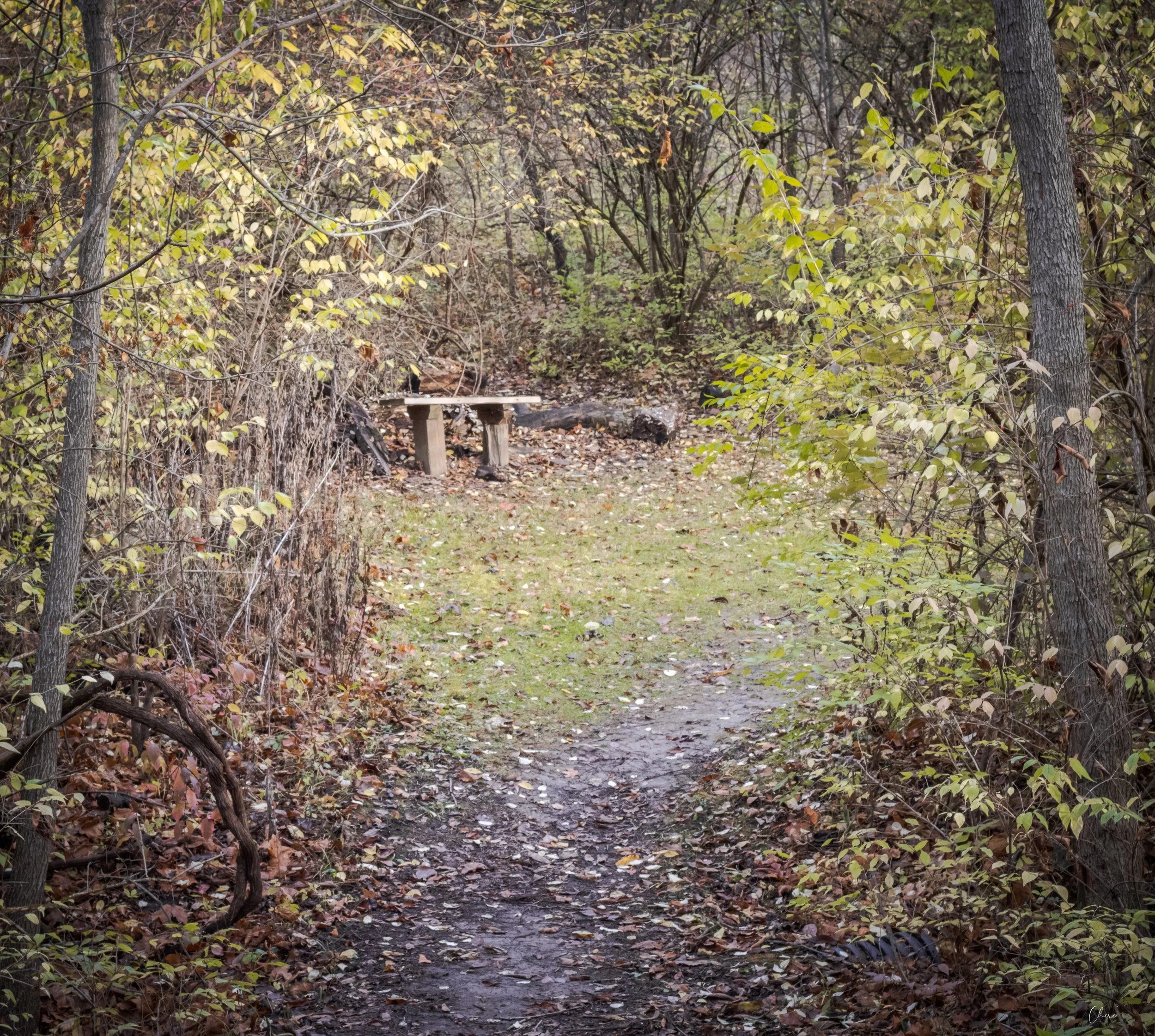 Prairie Oaks Metro Park - Nov 2024