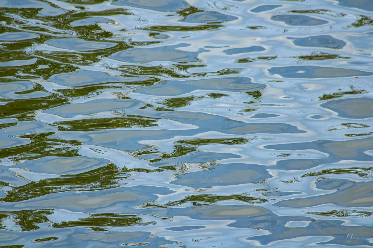 Three Creeks Metro Park - Apr 2026