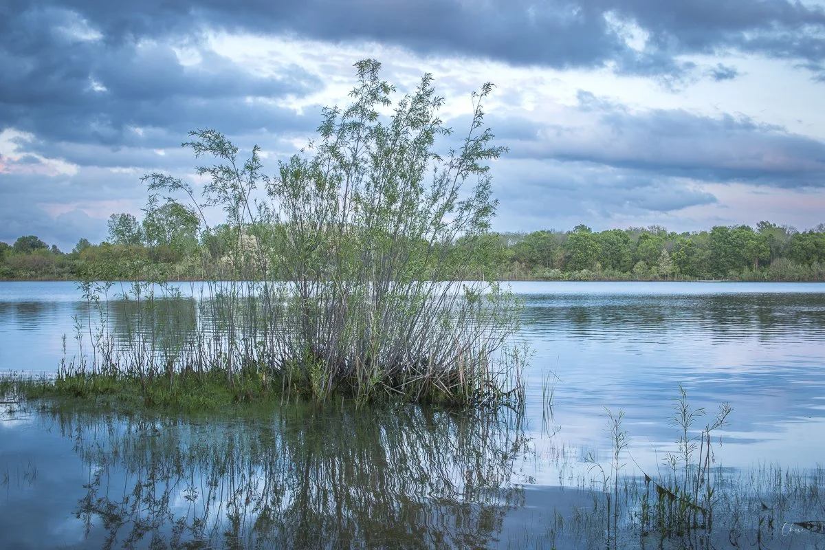 Prairie Oaks Metro Park, Darby Bend Lakes - Apr 2026