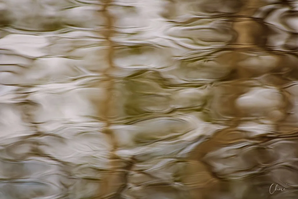 Prairie Oaks Metro Park, Darby Bend Lakes - Apr 2026