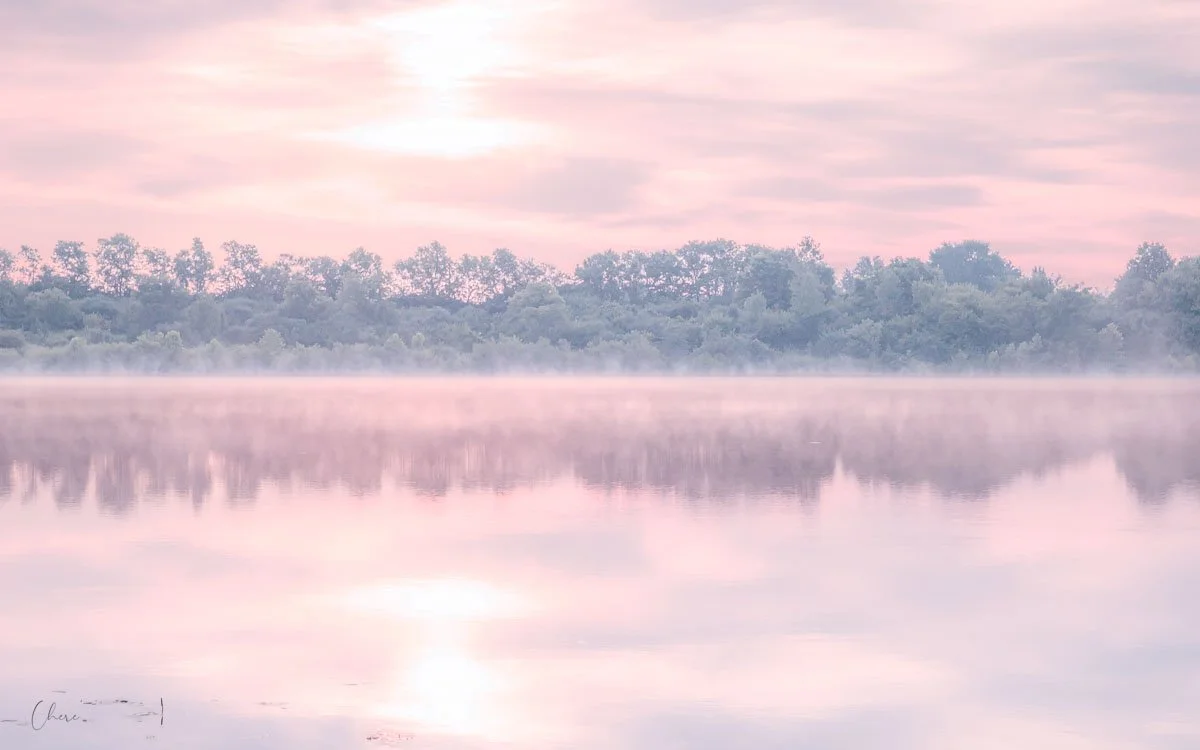 Apricot Lake