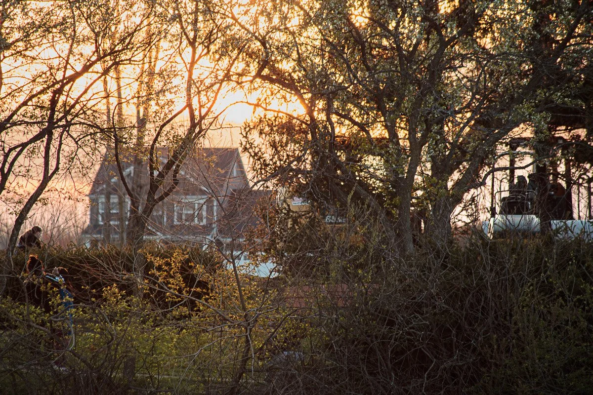 Homestead Metro Park - Apr 2026