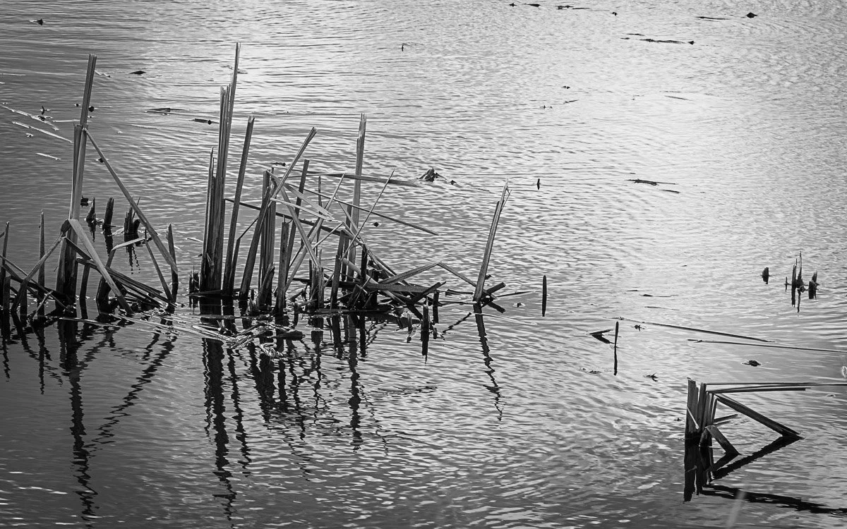 Prairie Oaks Metro Park - Mar 2026