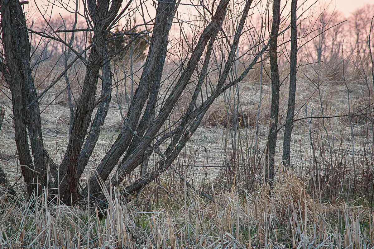 Prairie Oaks Metro Park - Mar 2026