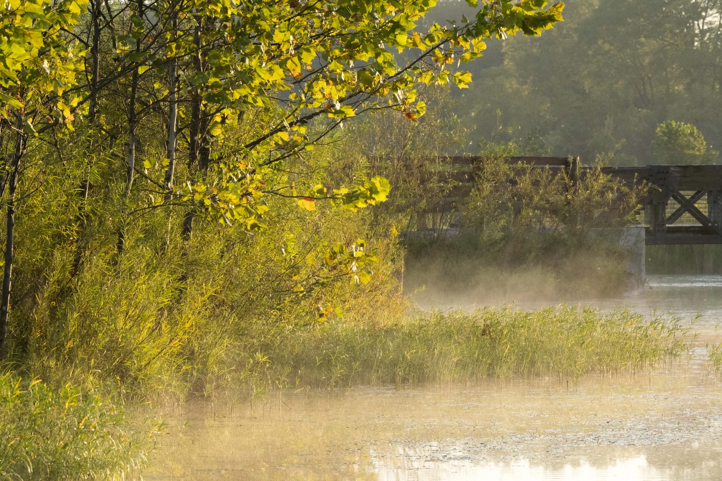 Prairie Oaks Metro Park - Sept 2026