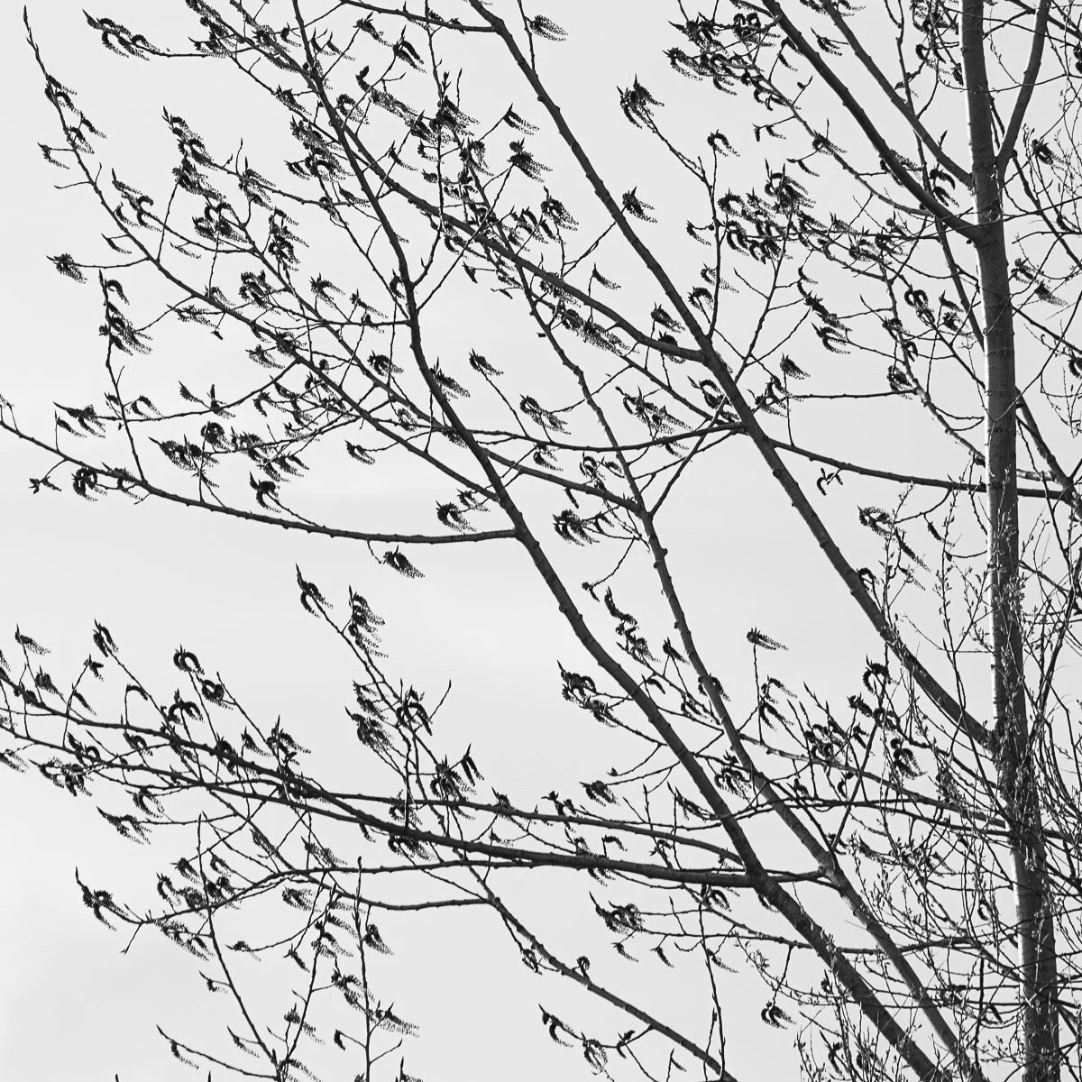 Prairie Oaks Metro Park - Mar 2026