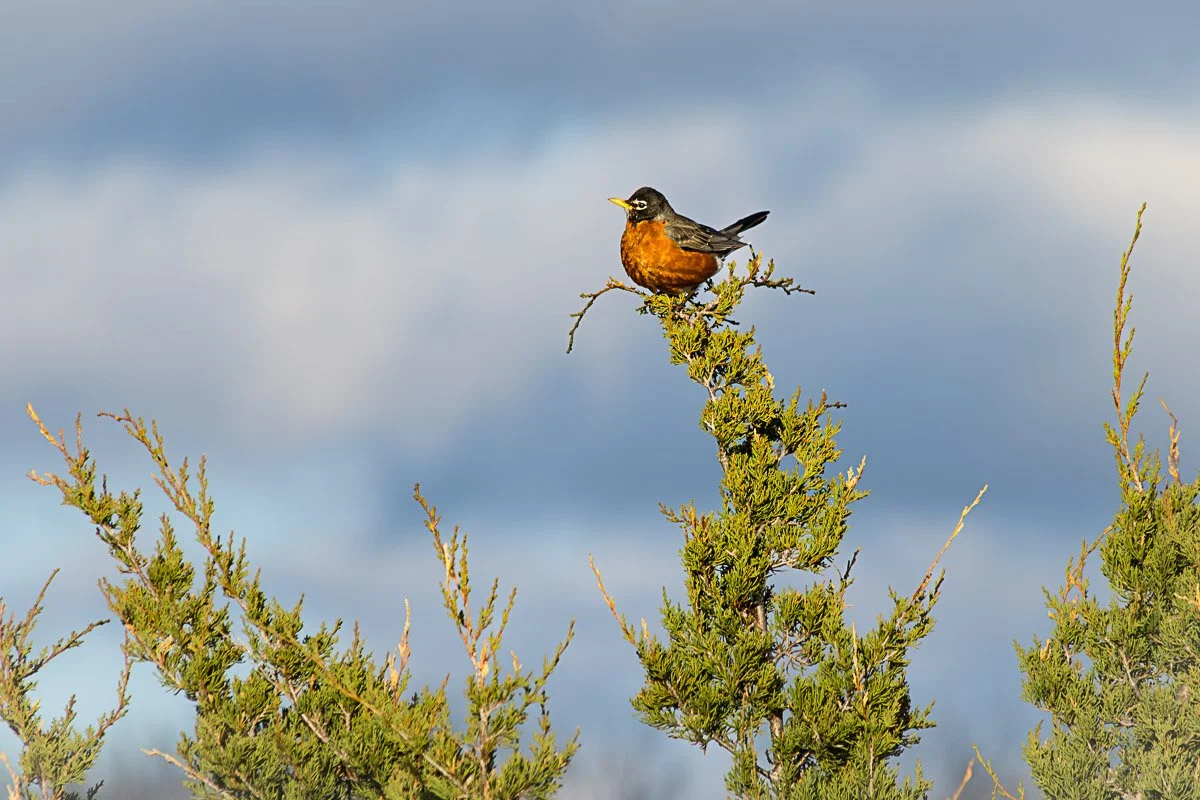 Prairie Oaks Metro Park - Apr 2026