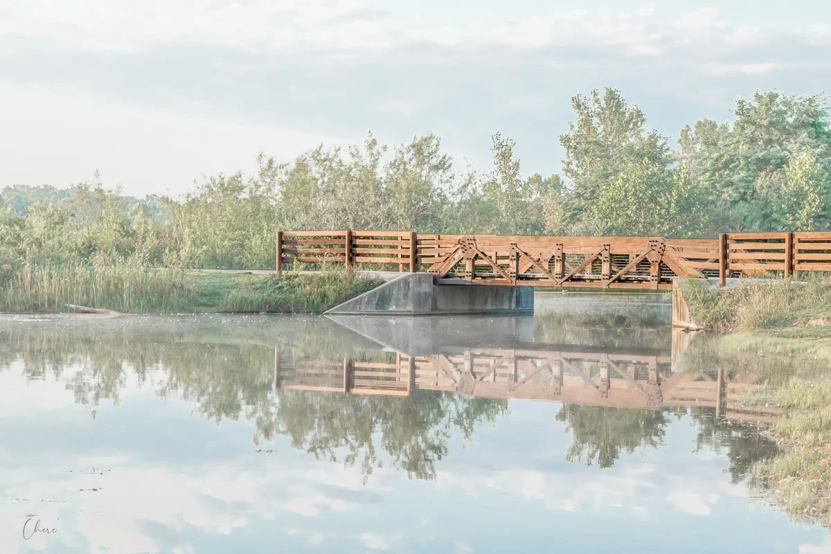 The Bridge