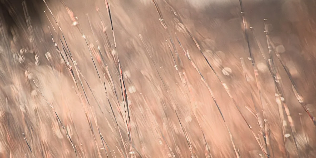 Prairie Oaks Metro Park, Darby Bend Lakes - Mar 2026