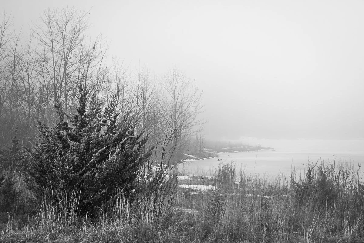 Prairie Oaks Metro Park, Darby Bend Lakes - Feb 2026