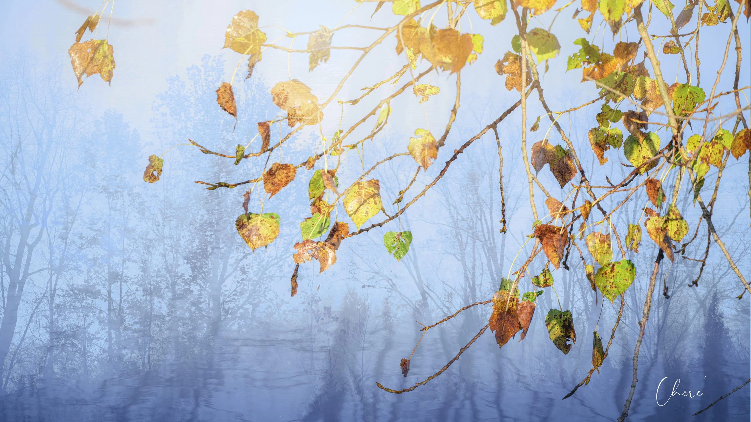 Prairie Oaks Metro Park - Oct 2026