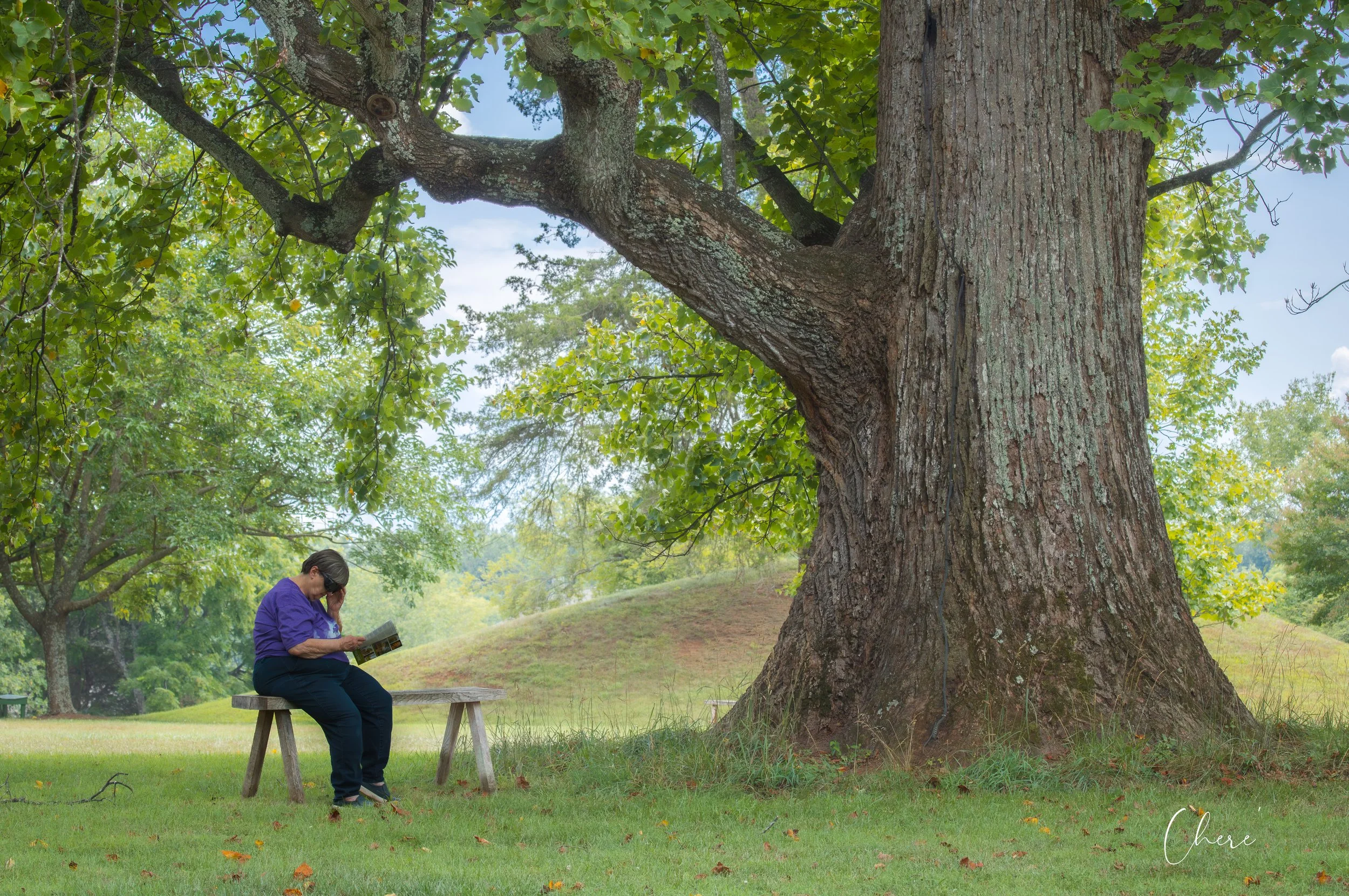 Poplar Forest, VA - July 2026