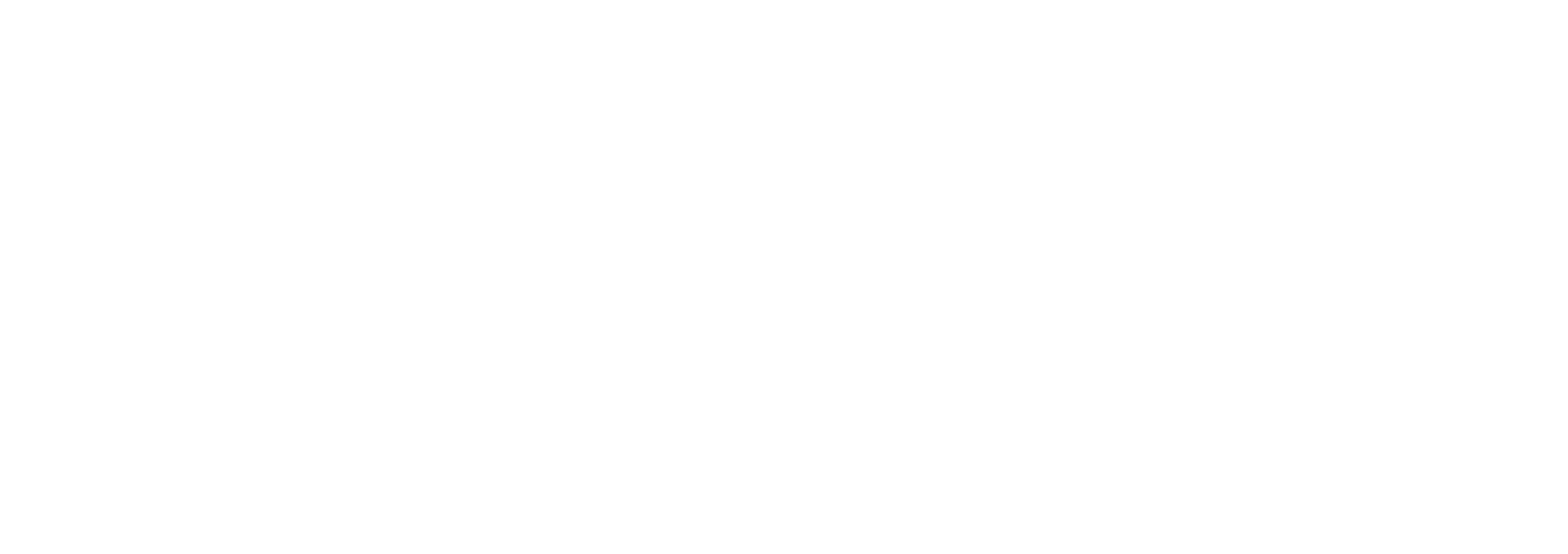 LM Protection