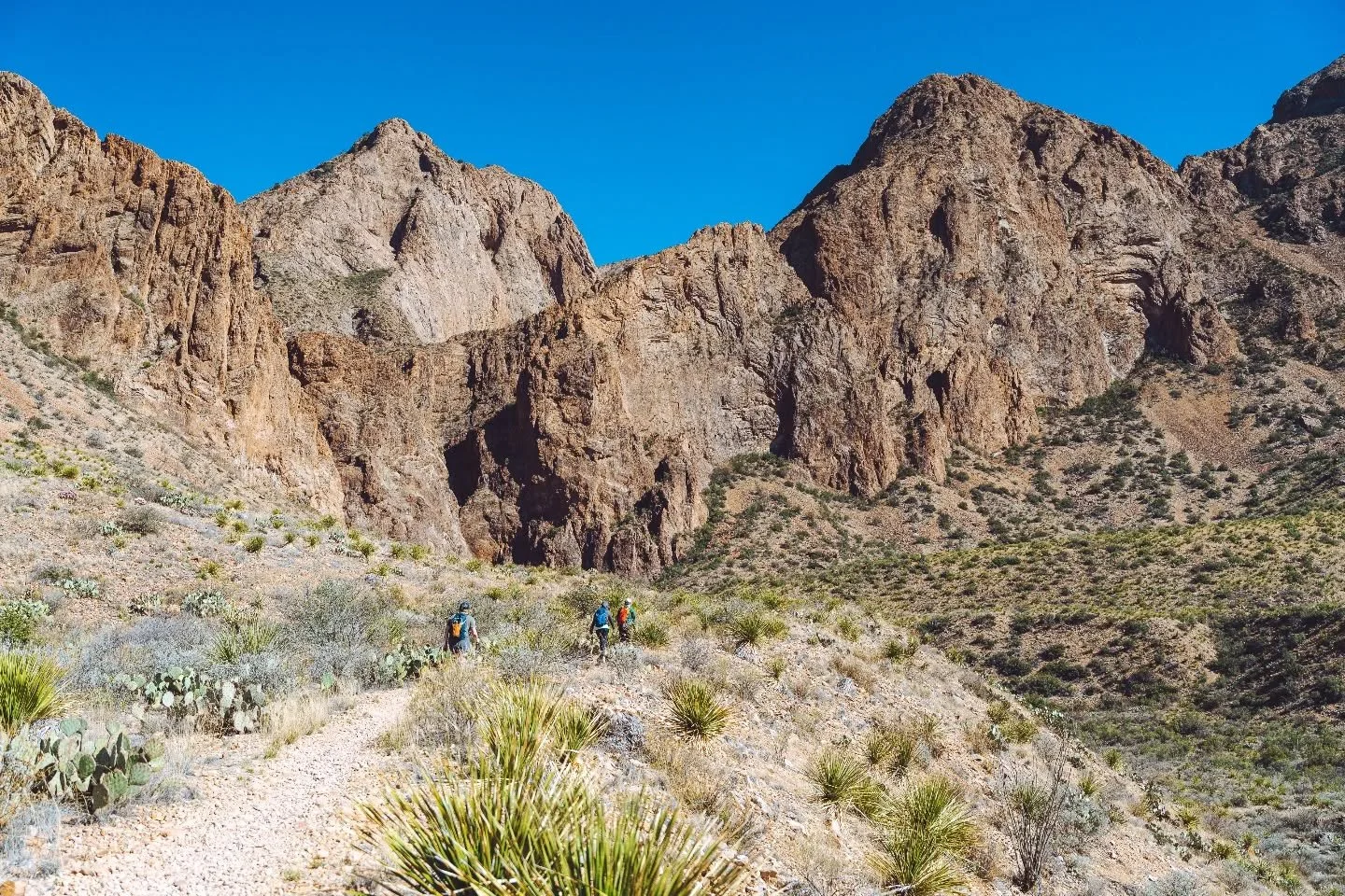 In hiking, a Switchback is a zigzag path up a steep hill or mountainside. We love this idea of meandering back and forth, but always moving forward. 

Until we've got a space worth sharing, we're using photos from our talented friend and photographer