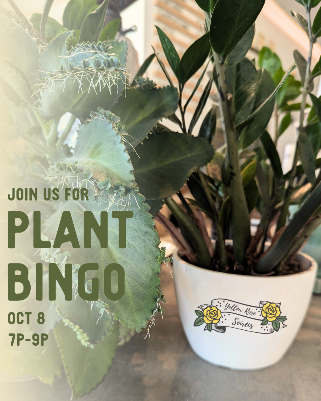Plant Bingo w/ Yellow Rose Soiree