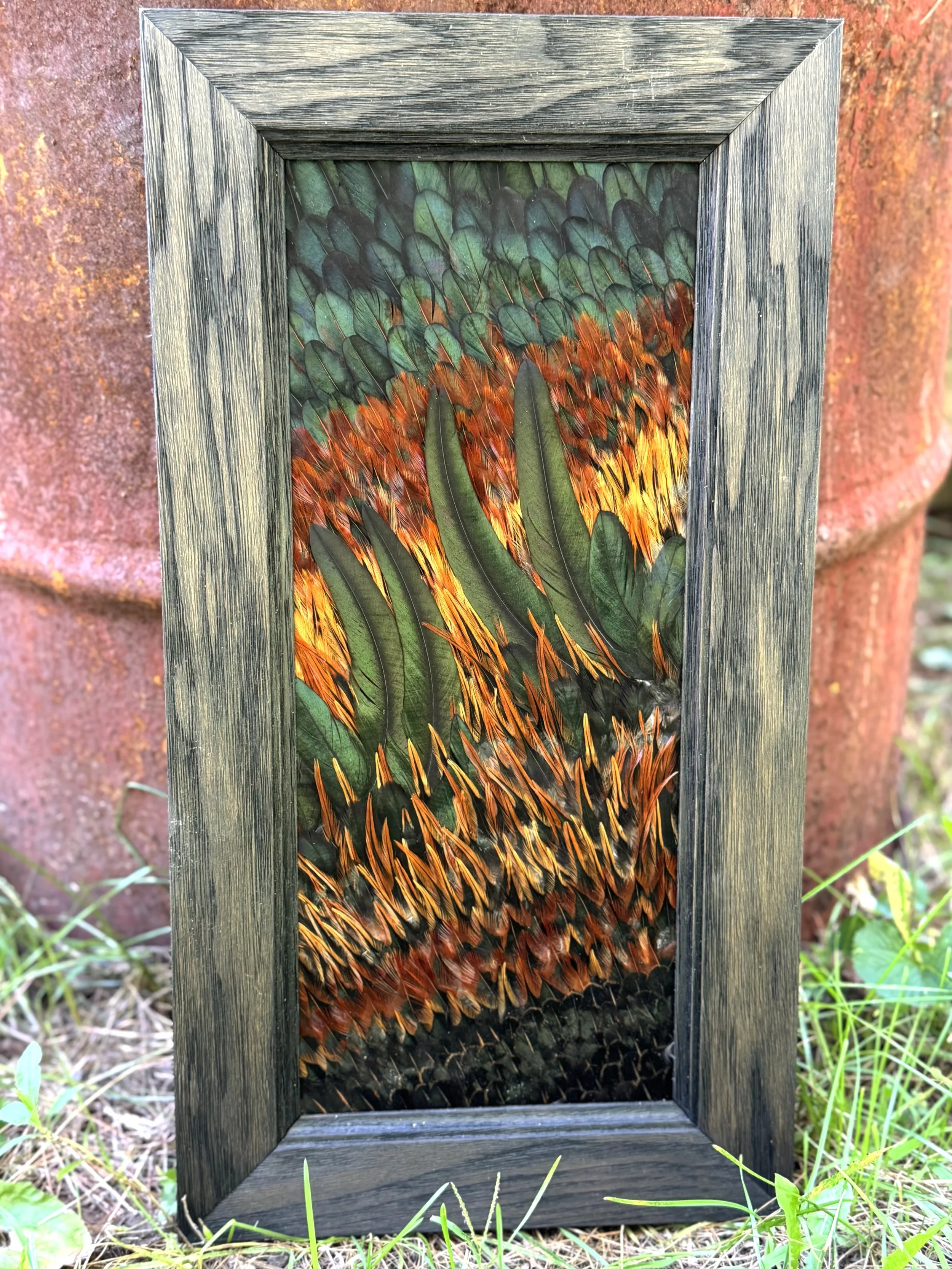 Rooster Feather Panel