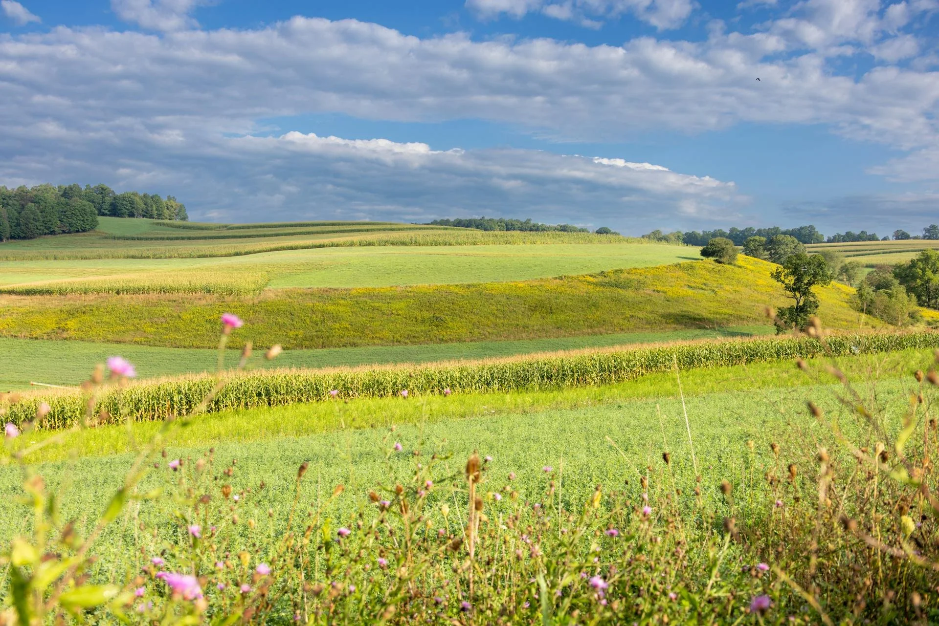 Pennsylvania countryside
