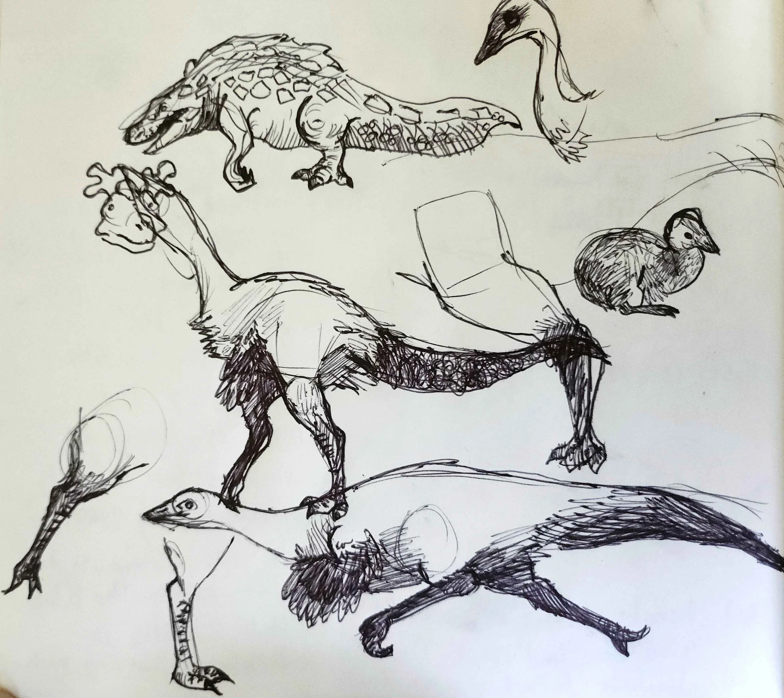 Studies of Ornithomimids and Ratites. Joined by a Psuedosuchian reptile. 