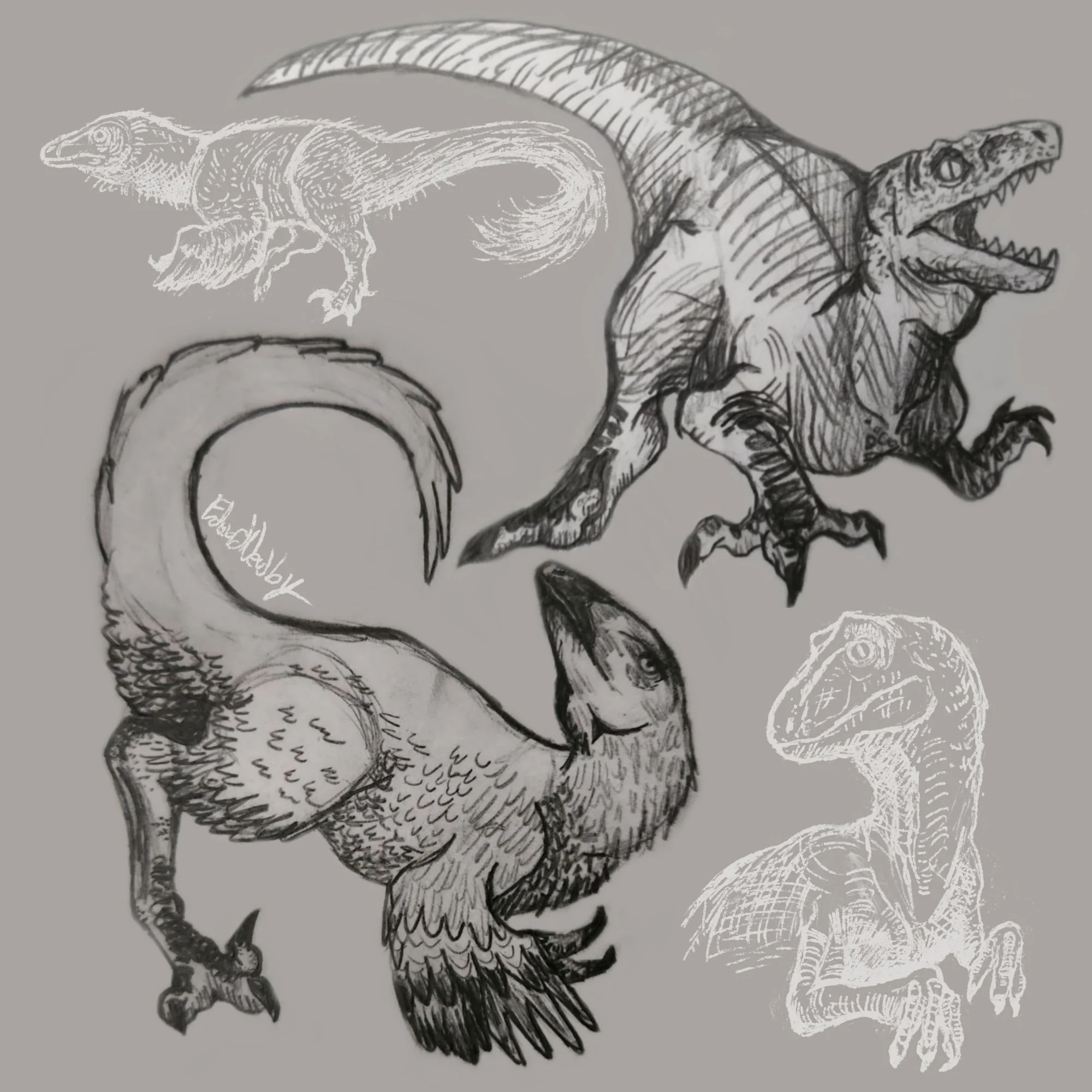 Deinonychus Sketches