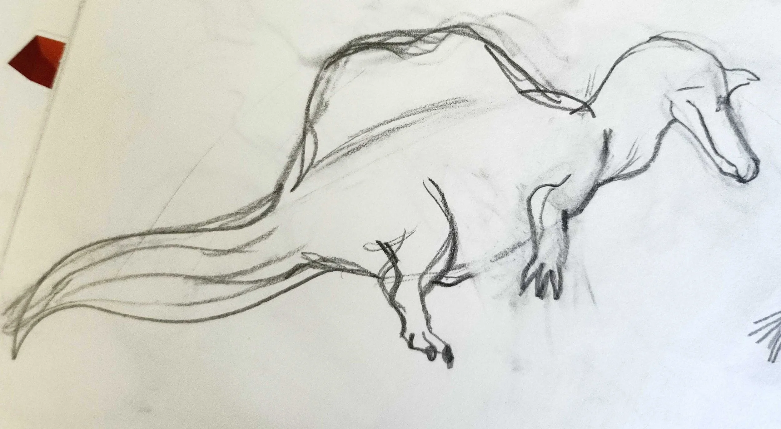 Loose Spinosaurus mirabilis. 