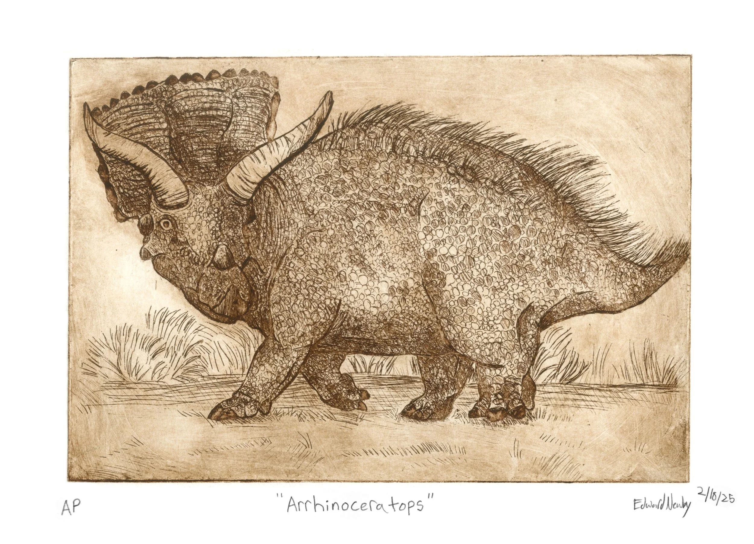 Arrhinoceratops