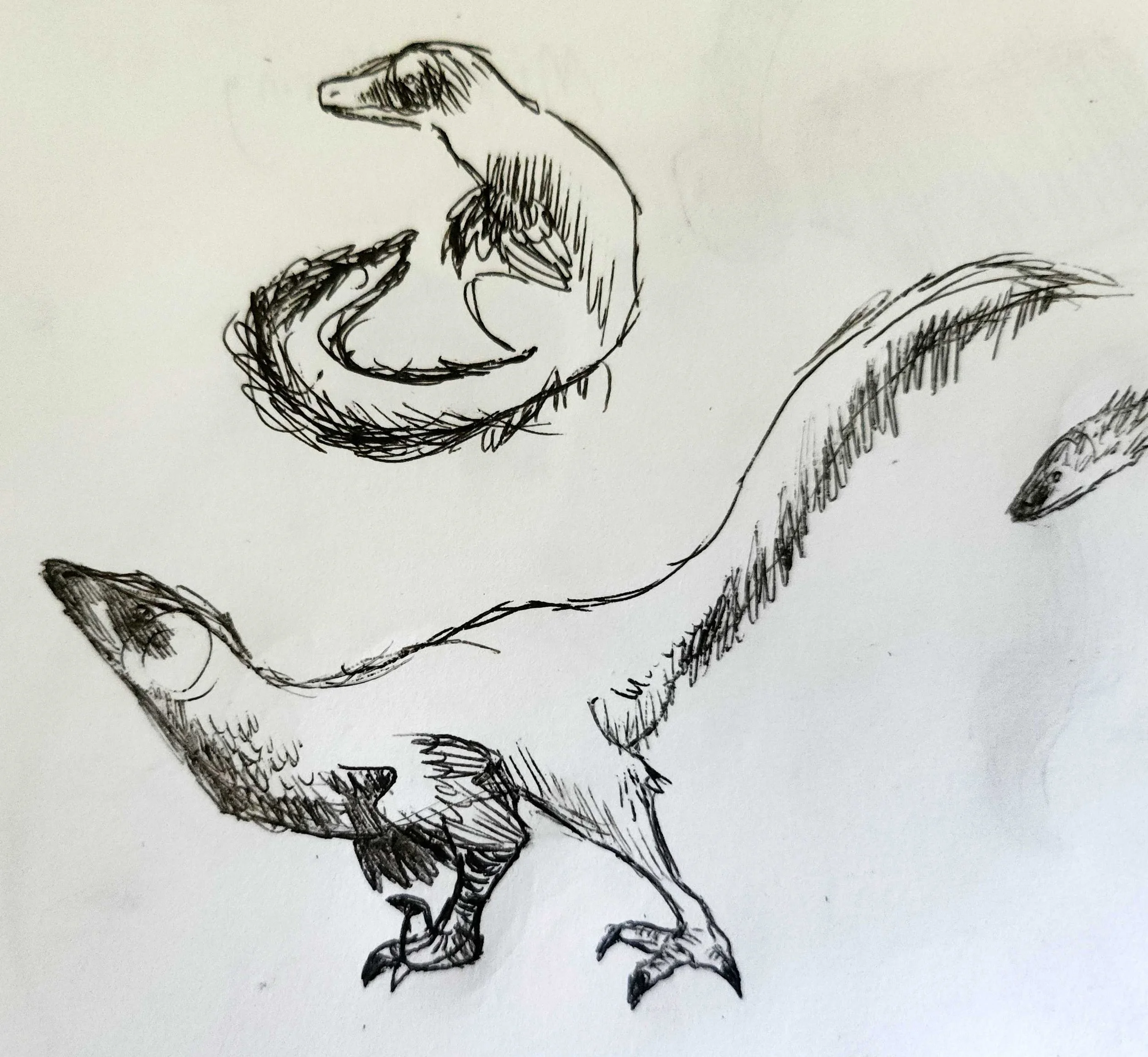 Deinonychus gestures.