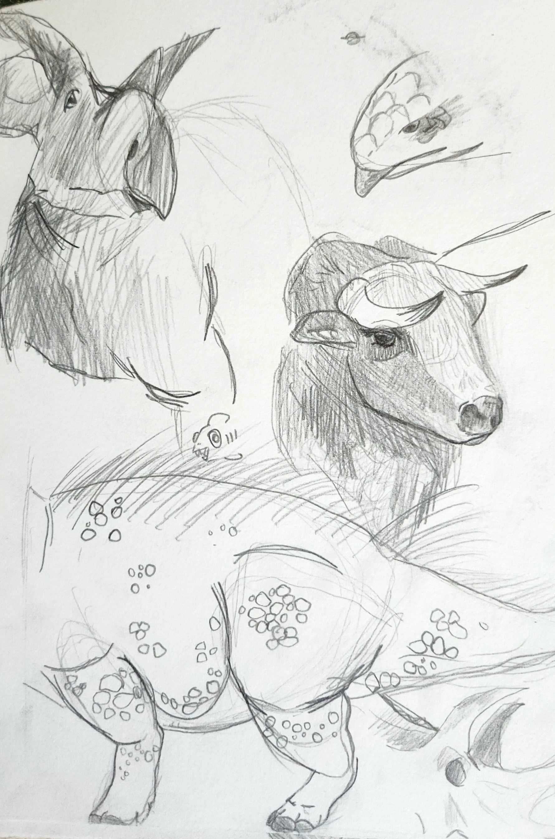Arrhinoceratops and longhorn steer studies.