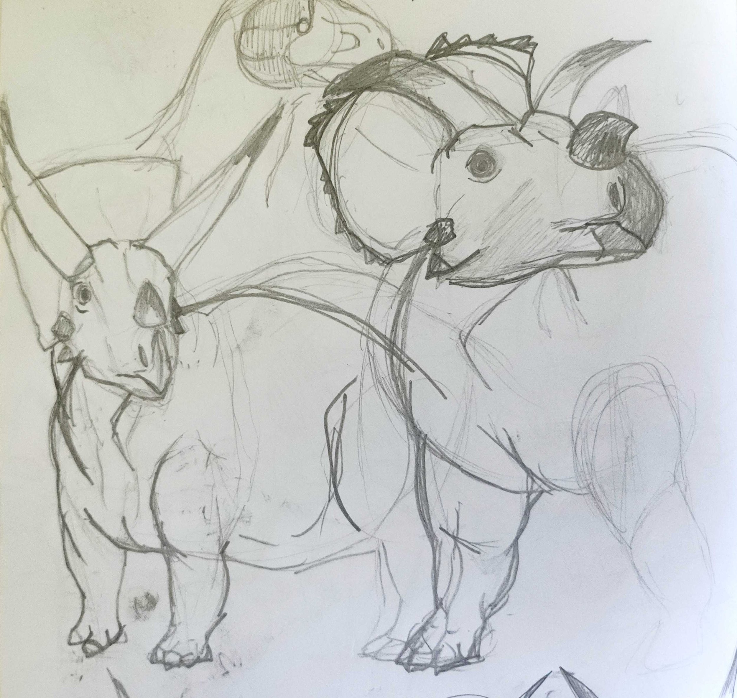 Arrhinoceratops studies.