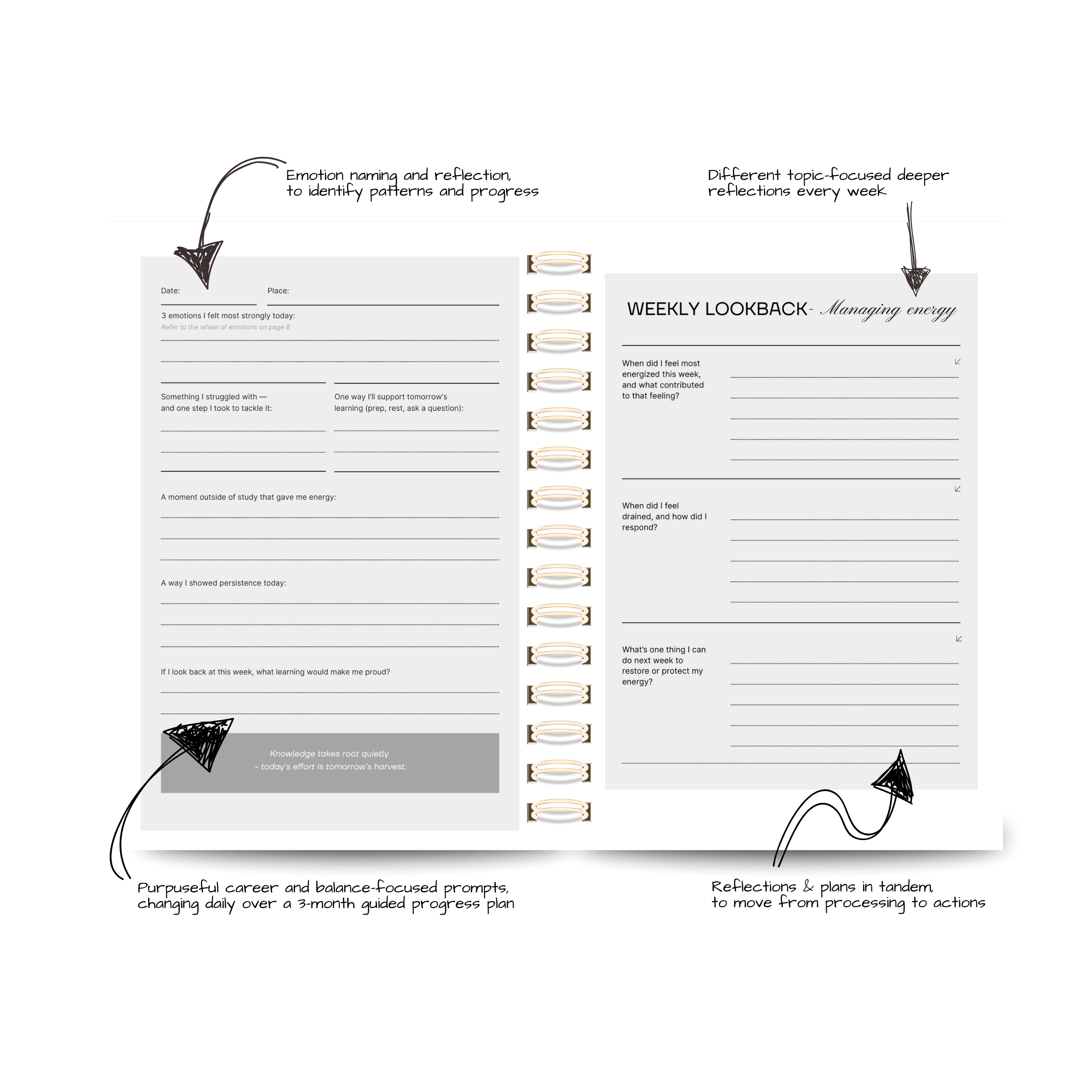 Growth Plan Page.png