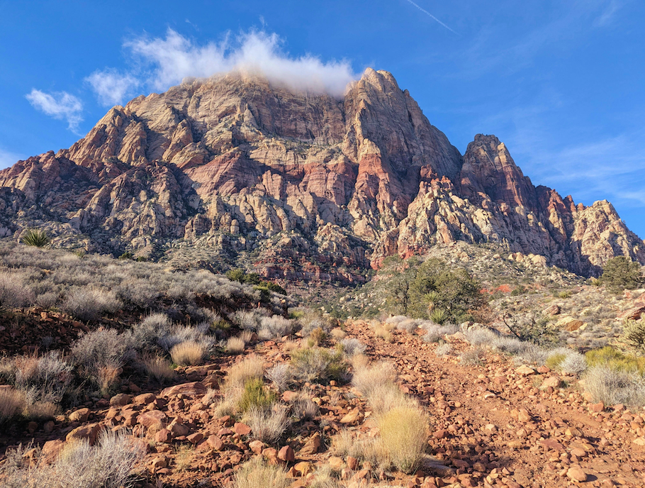 Carson City Counseling Therapy