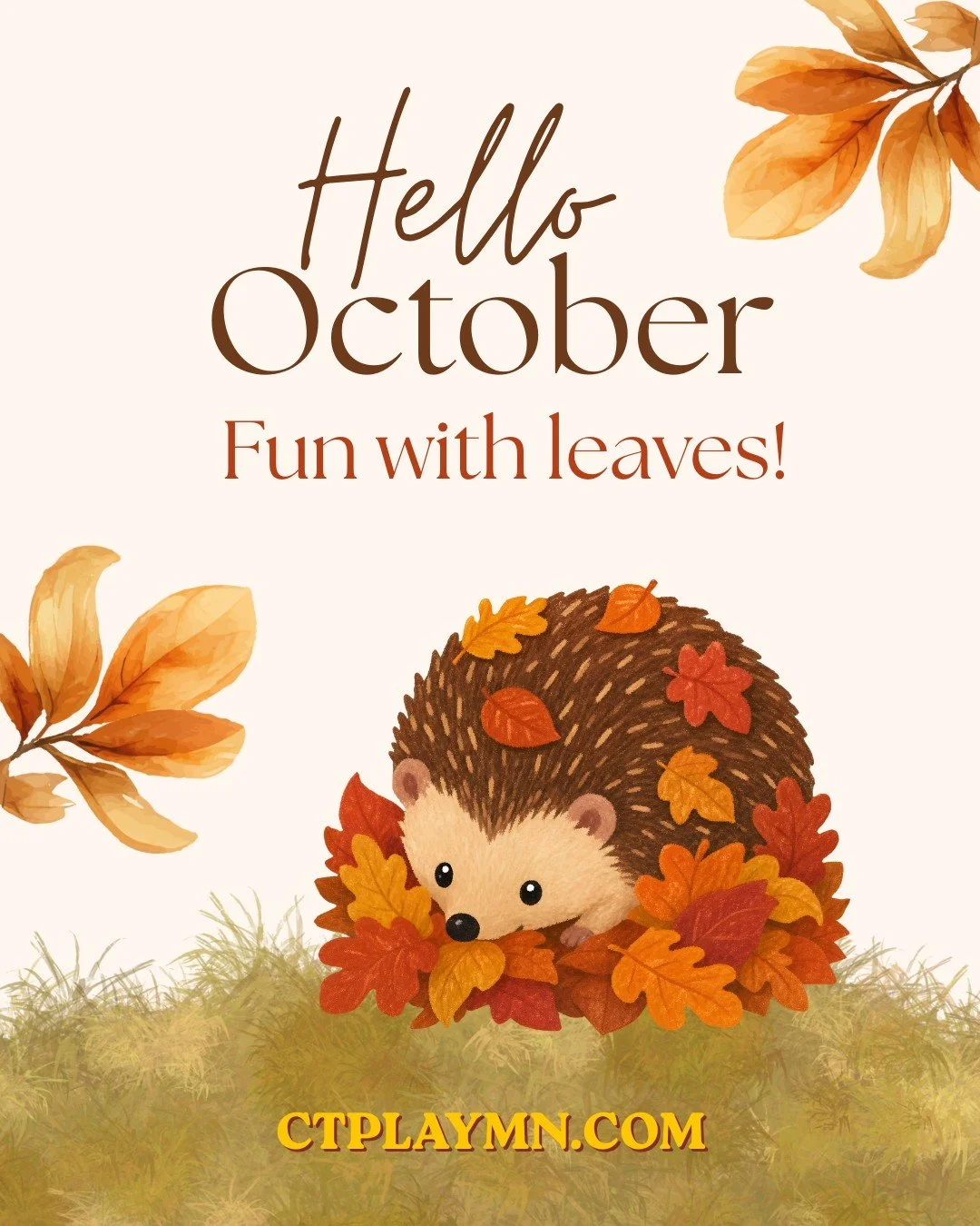 It's peak fall color! Time to rake, crunch, jump, sort, create! 🍁 Fall leaves make for a fun way to sneak in fine and gross motor practice while enjoying the season.

#ctplaymn