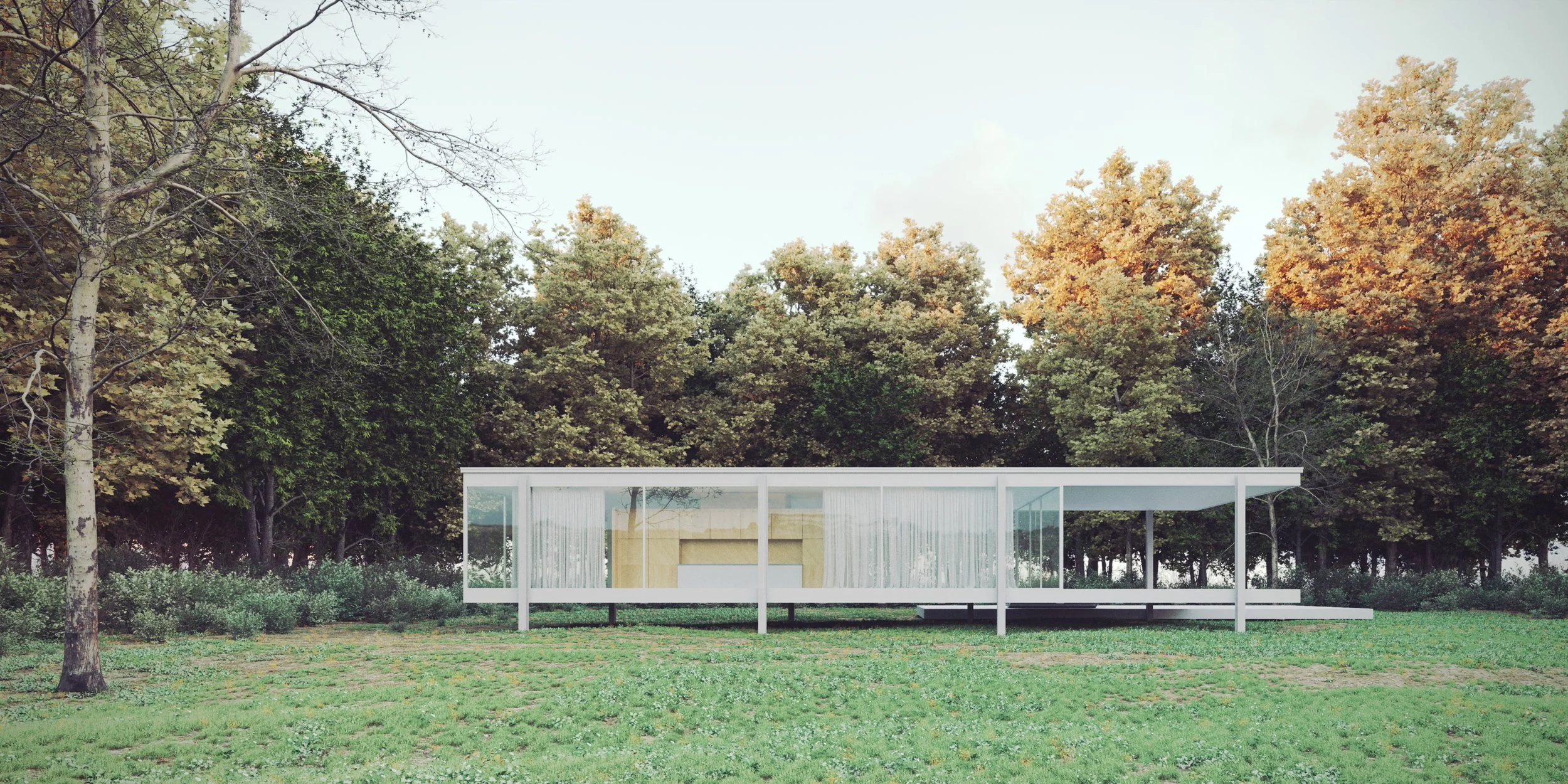 Raumstudie, House Farnsworth, Plano