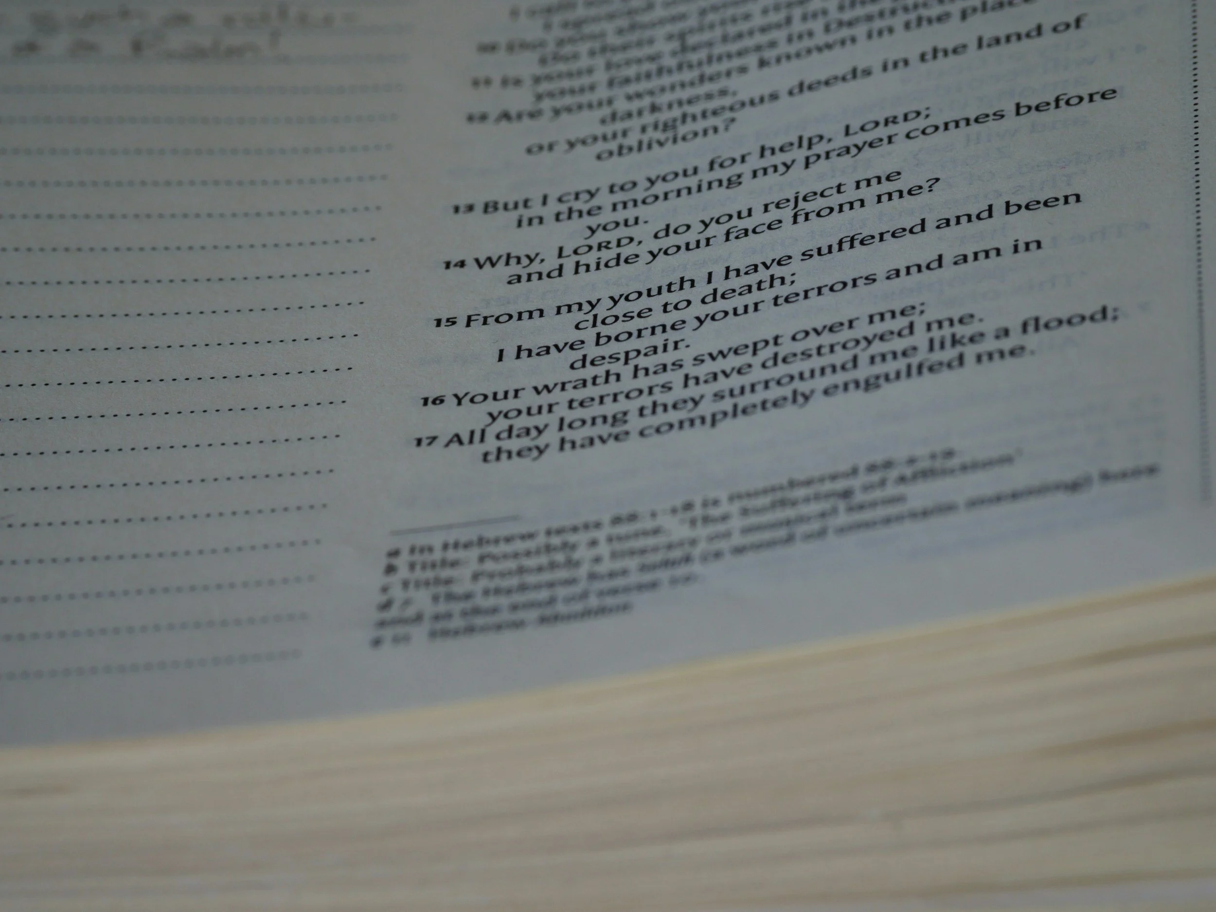 Common Legal Terms in Governing Documents